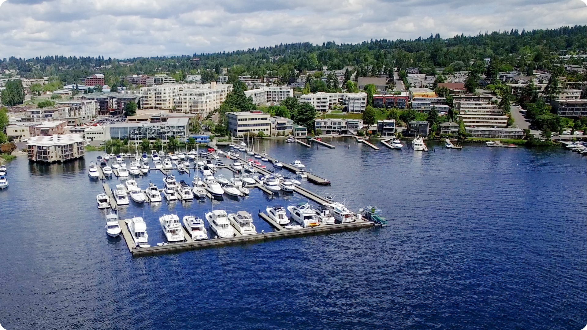 Kirkland marina waterfront on a sunny day