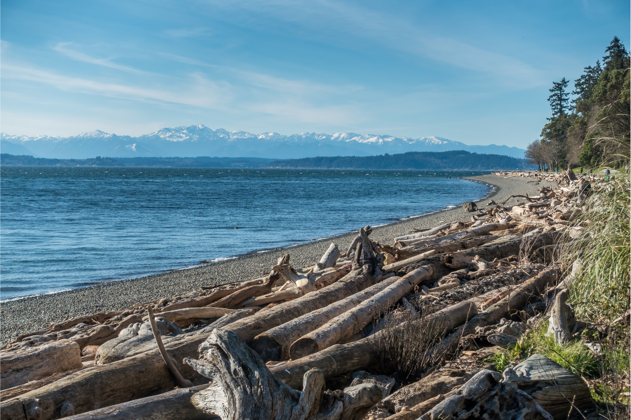 Lincoln Park trail with Cascade and Olympic mountain views