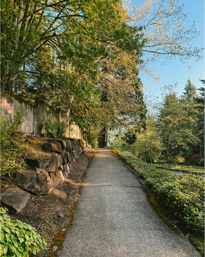 Lush Pacific Northwest walking trail in Redmond, Washington